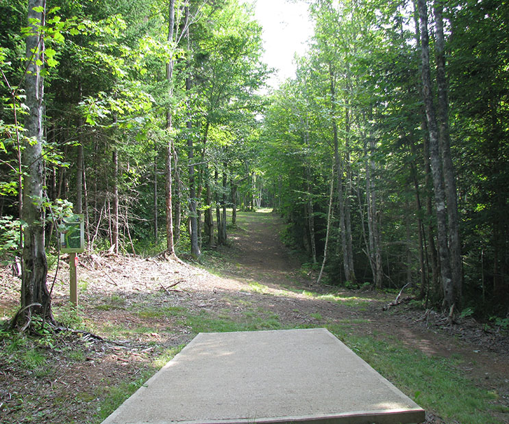 Hole 14 – Longfellow