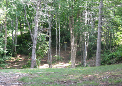 Hole 6 – Barred Owl