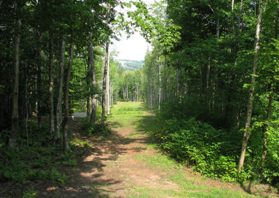 Hole 7 - Hillcrest Farm Championship Disc Golf Course