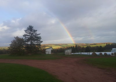 Rainbows - Hillcrest Farm Championship Disc Golf Course